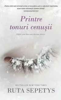 Printre tonuri cenusii