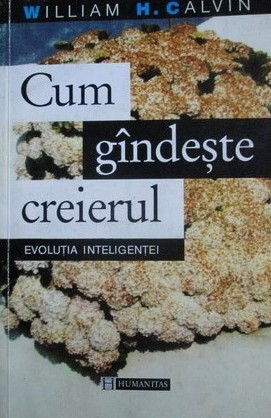 Cum gandeste creierul