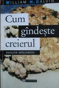 Cum gandeste creierul