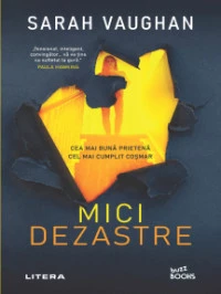 Mici dezastre