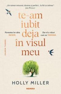 Te-Am Iubit Deja in Visul Meu
